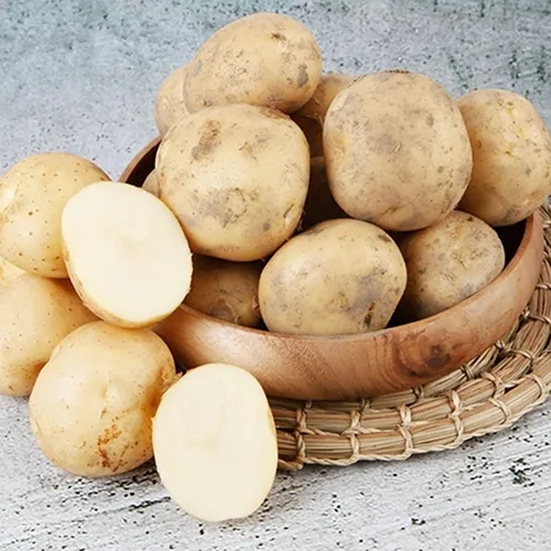 국내산 수미감자, 난각1번 유정란, 고춧가루 외 다양