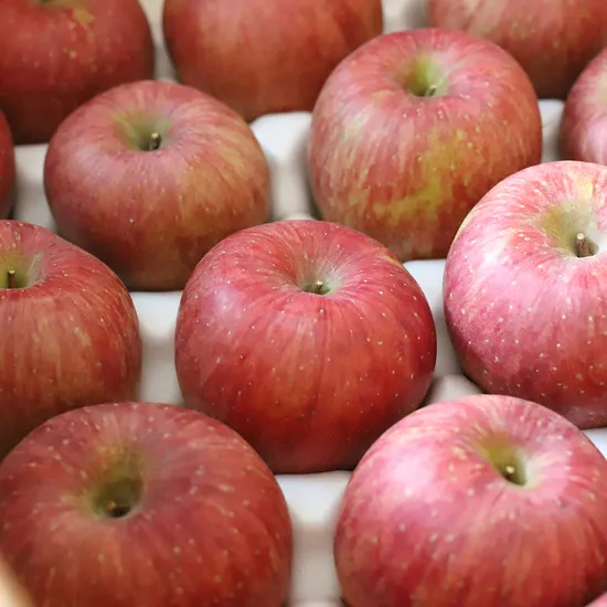 영주 부사사과 2kg