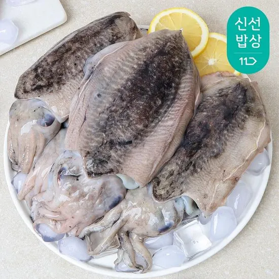 국내산 생물 갑오징어 대사이즈 1kg (2~3미)