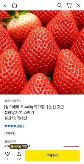 논산 킹스베리 특 440g 1팩