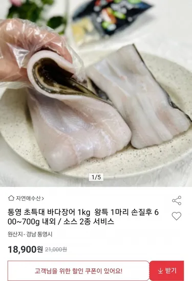 통영 바다장어 1kg 왕특 1마리