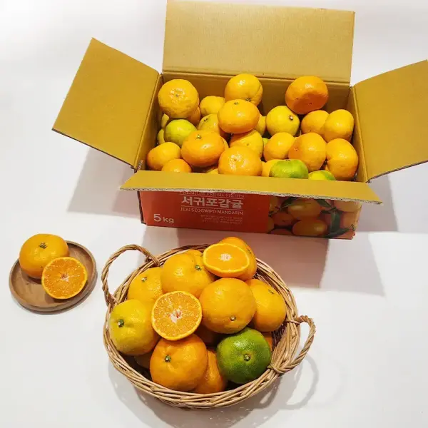 제주 햇 조생 감귤 9kg 대과