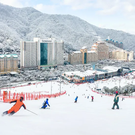 비발디파크 홍천 오션월드 종일권 외
