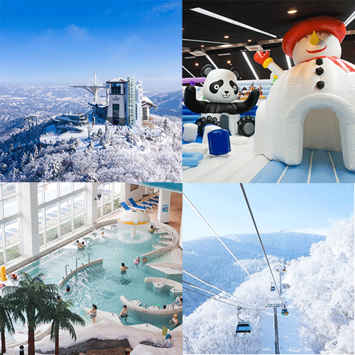 모나용평 윈터 올인원 패키지 2박 2인 기준