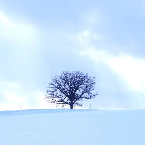 홋카이도 자유여행 3박 4일 3온천 노보리베츠 석수정 온천호텔 1박 시내 4성급 2박