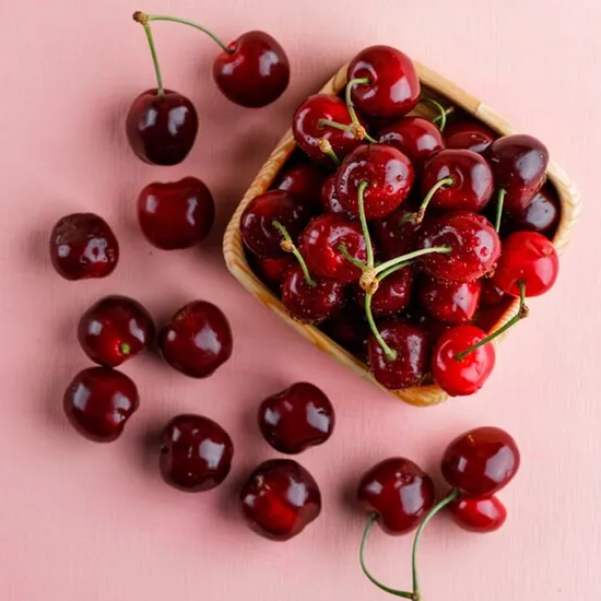 항공 생체리 500g