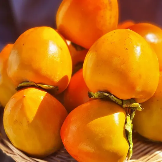 달콤왕 고당도 대봉감 5kg 중대과 외 다양