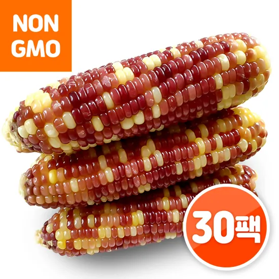 지오 쫀득쫀득 삶은 홍찰 얼룩이 옥수수 30개