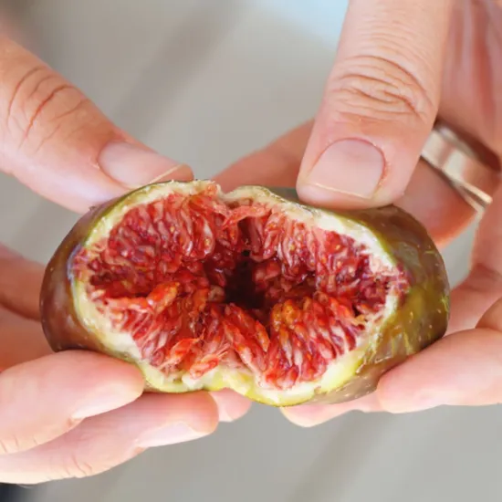 영암 홍무화과 500g 7-11입