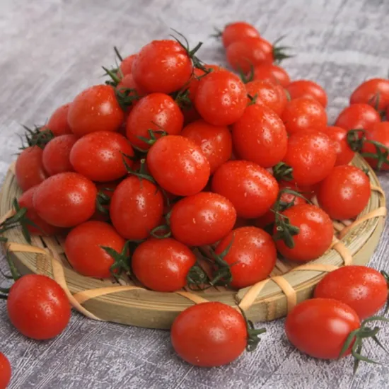국내산 대추방울토마토 2kg