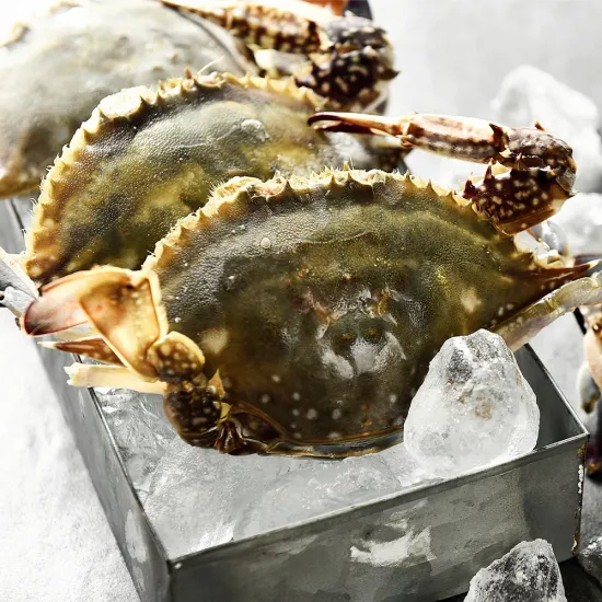 가을 활 숫꽃게 1kg