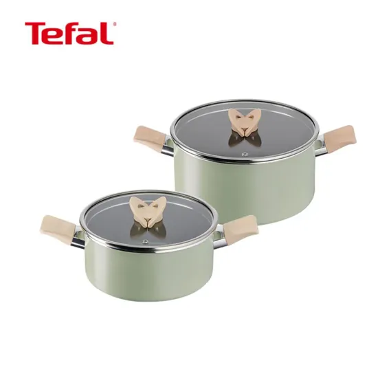 테팔 원픽냄비팬 피스타치오 그린 2종 세트 (22+24)