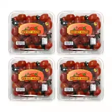 스테비아 방울토마토 2kg