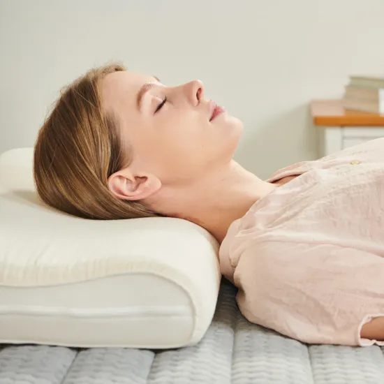 샤오미 미지아 헤어드라이어 H501 SE Kaiser 음이온 헤어 드라이기