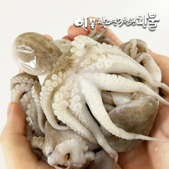 손질 특대 통주꾸미 750g 3팩