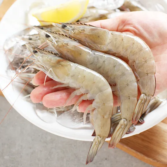 오징어 특대 XL 1팩 3미 500~600g 숨 프리미엄 물티슈 100매 10팩