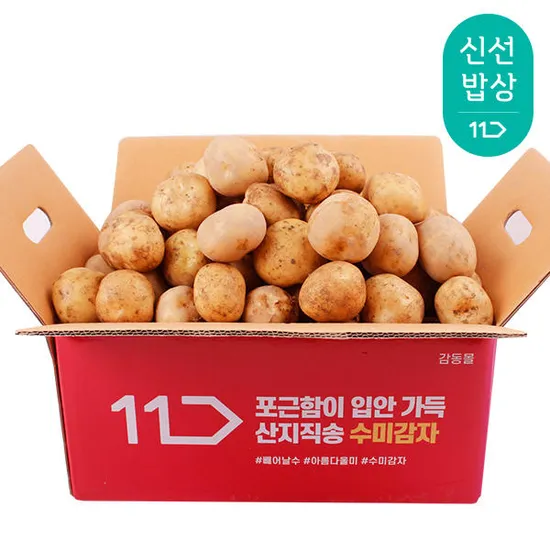 25년산 햇 감자 중 3kg