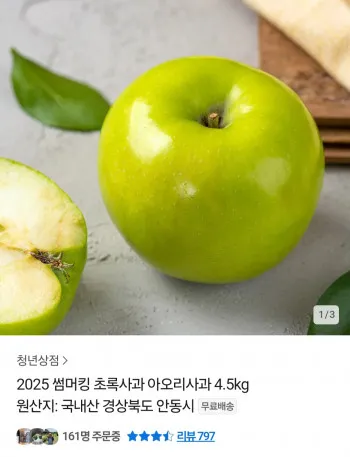 초록사과 아오리사과 4.5kg