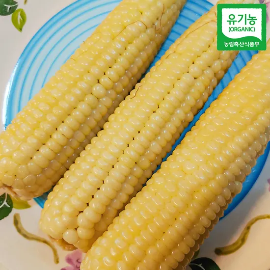 강원도 유기농인증 미백2호 찰옥수수 10개
