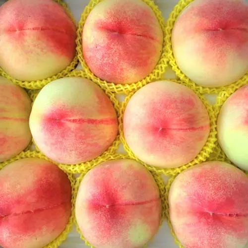 거반도 납작복숭아 1kg 4-6과