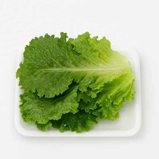 로메인 상추 1kg