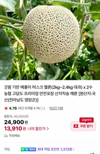 농협 머스크 멜론 2kg 이상 대과 2수 총 4kg 이상