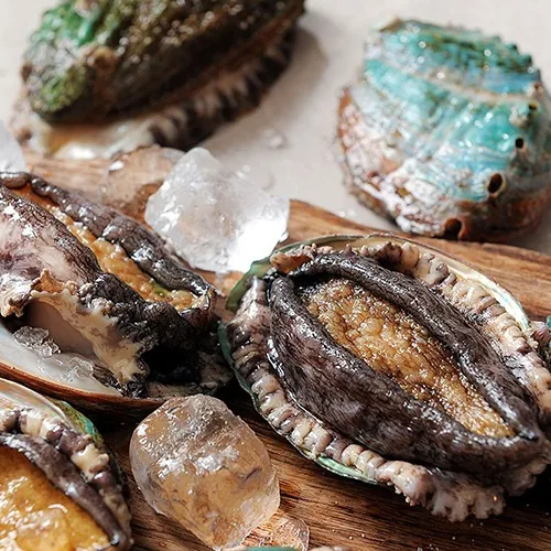 완도 활전복 1kg