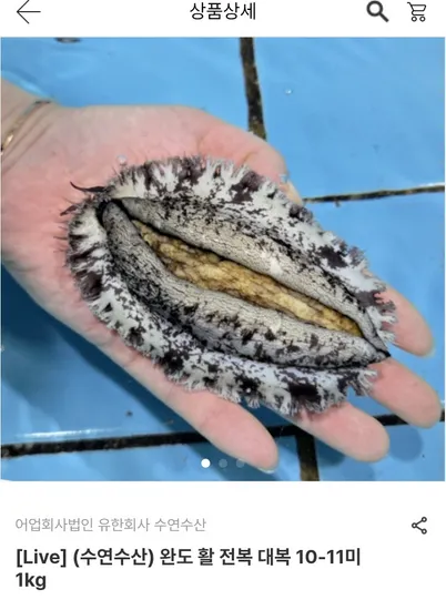 남도장터 전복 10~11미 1kg