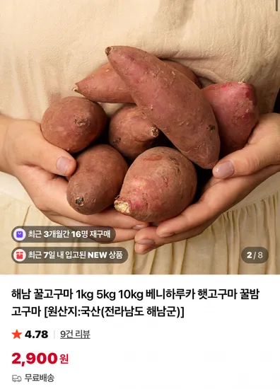 해남 베니하루카 꿀 밤고구마 1kg