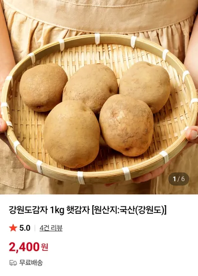강원도 햇감자 1kg