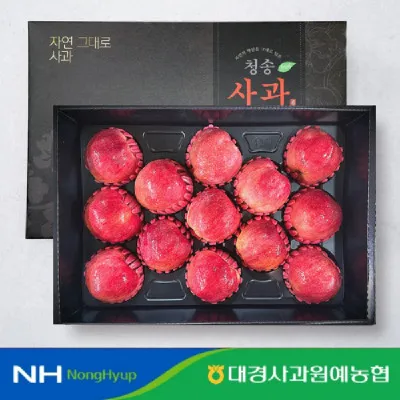 청송사과 선물세트 4.2kg 13과 대과