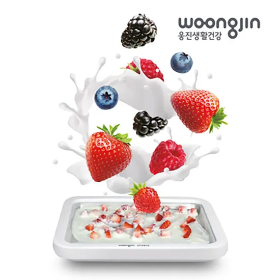 웅진 철판 아이스크림 메이커