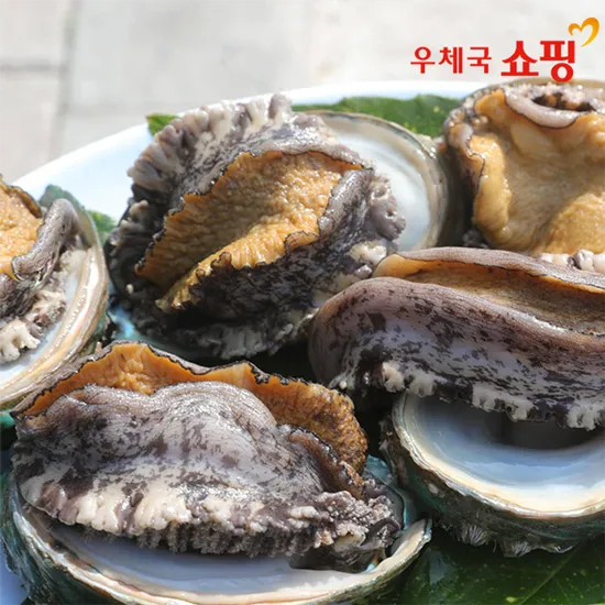 전복 1kg 9-11미