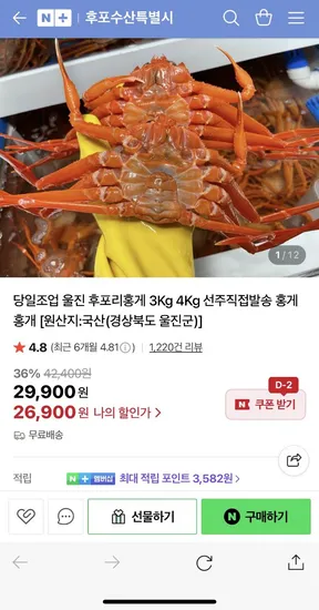 당일조업 울진 후포리 박달홍게 4kg 8-10미