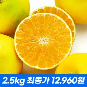 한입제주 하우스 황금향 1.5kg / 2.5kg