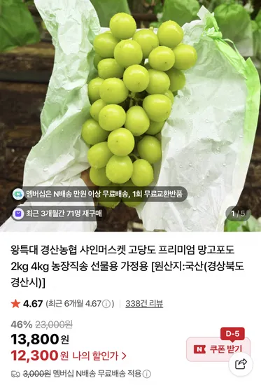 샤인머스켓 2kg (2수)