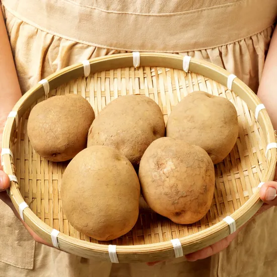 강원도 무농약 햇감자 2kg