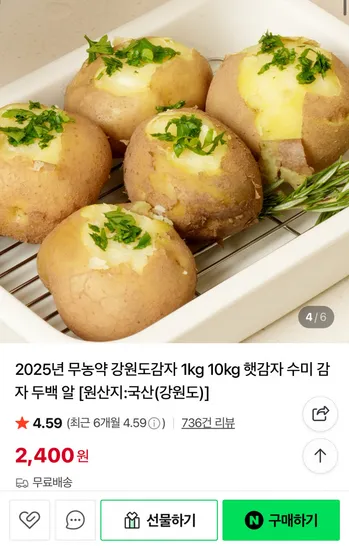 햇감자 1kg