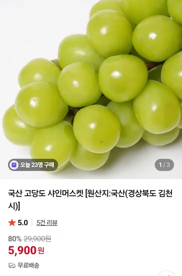 국산 고당도 샤인머스켓 특품 1kg