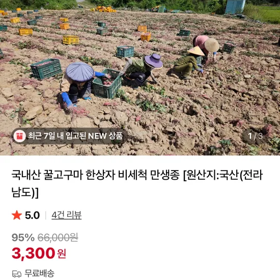 국내산 꿀고구마 900g