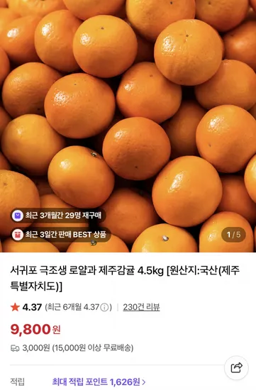 서귀포 극조생 감귤 4.5kg 로얄과