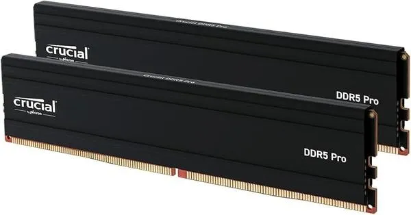 Crucial Pro 48GB DDR5 RAM 키트 2x24GB 5600MHz