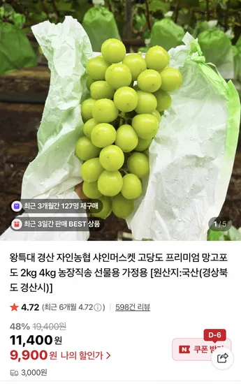 샤인머스켓 2kg