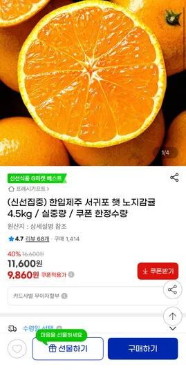 제주 한입 노지감귤 4.5kg