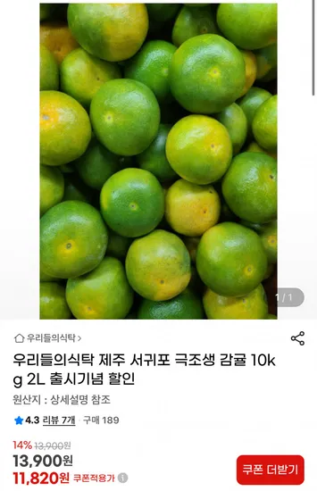 제주 서귀포 극조생 감귤 10kg