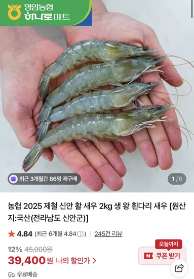농협 신안 활 새우 2kg