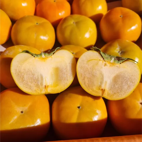 고당도 창원 단감 5kg