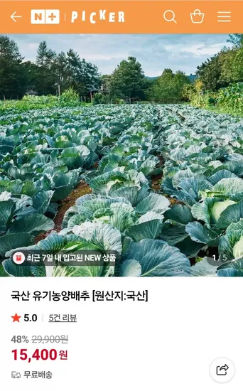 피커 유기농양배추 국산 5kg