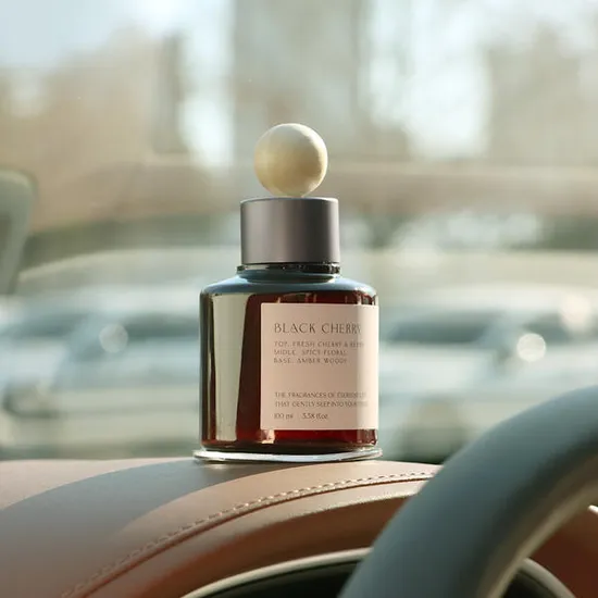 올챌린지 차량용 방향제 100ml 2개