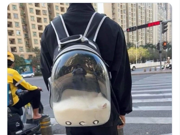 와이푸 파이터 F-ist / 6,670원